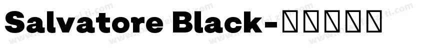 Salvatore Black字体转换